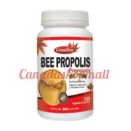 DavidHealthFood Nutridom Bee Propolis Capsule 120capsules