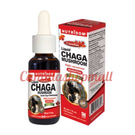 DavidHealthFood Nutridom Chaga Luquid 30ml