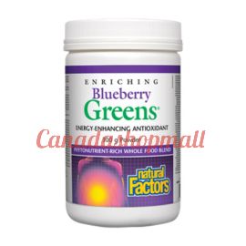 NaturalFactors Enriching Blueberry Greens Blueberry 300g Powder