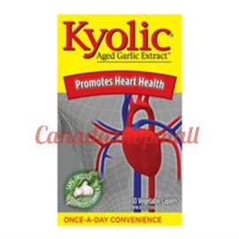 Kyolic Aged Garlic Extract Once A Day 30 veg caplets