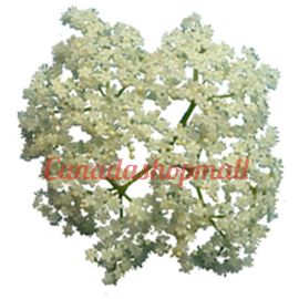 SURO Dried organic elderflowers 56.7 gr