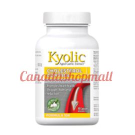 Kyolic Cholesterol Control Formula 104  w/Lecithin 90 capsules