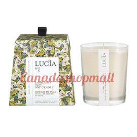 Lucia Laurel Leaf & Olive Soy Candle 20h