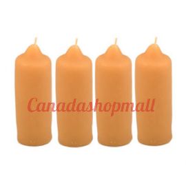 Pheylonian Bee Works Survival Camping Outdoors LN85 - Candle Lantern Inserts, 4 pack